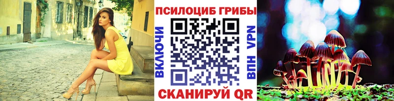 нарко площадка официальный сайт  хочу   Добрянка  Псилоцибиновые грибы Cubensis 